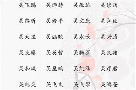 吳姓取名|吳姓寓意好的男孩名字（精選200個）